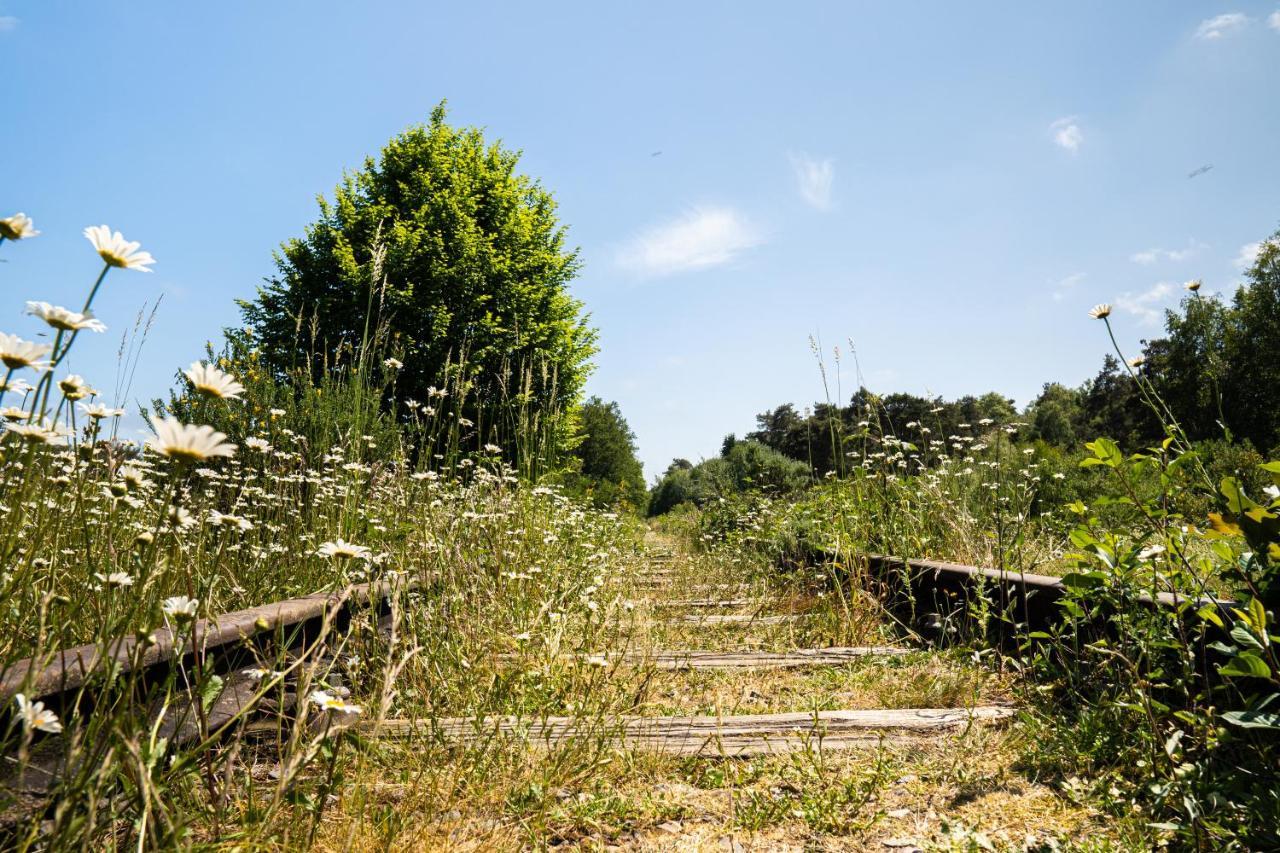 Hofparken Wiltershaar Hotel Winterswijk Kültér fotó